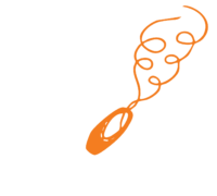 Baltica-element-pastel-heleoranž_B